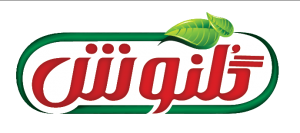 Logo-1-300x133