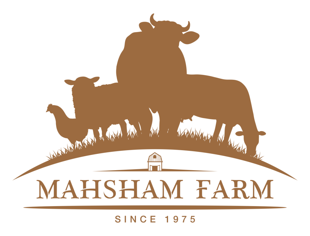 logo-1284x979